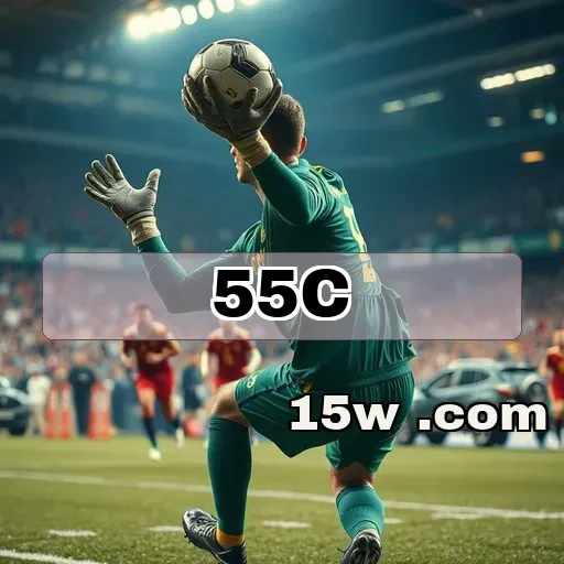 55c plataforma Simulação